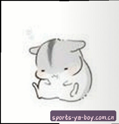 赵鹏